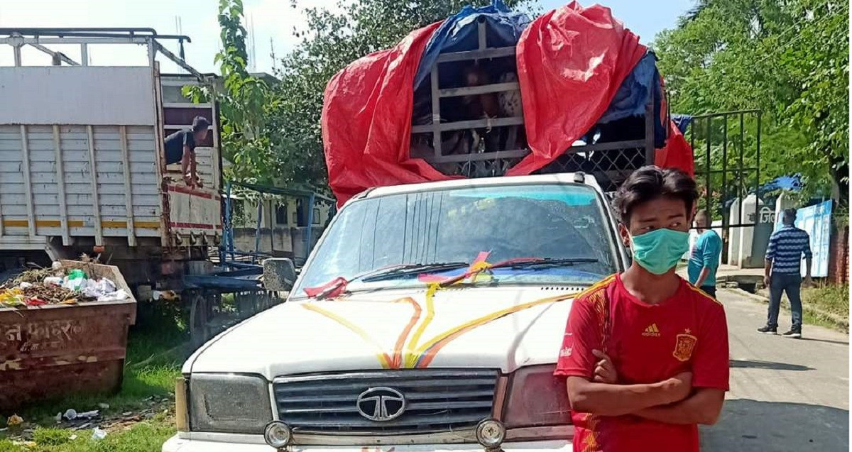 प्रहरीले नियन्त्रणमा लिएका खसी भन्सार र राजश्वले बुझ्न मानेन
