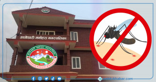 डेंगु नियन्त्रण गर्न के गर्दैछ काठमाडाैंकाे कागेश्वरी मनोहरा नगरपालिका ?